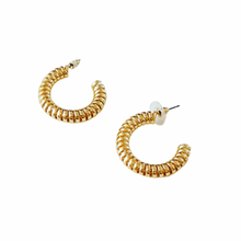 Load image into Gallery viewer, Mary Luxe Earrings
