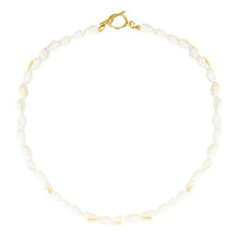 Load image into Gallery viewer, Small Shell Necklace
